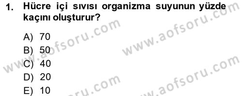 Temel Veteriner Biyokimya Dersi 2014 - 2015 Yılı (Final) Dönem Sonu Sınavı 1. Soru