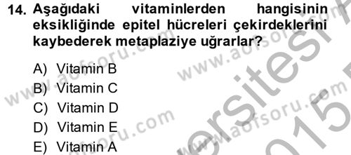 Temel Veteriner Biyokimya Dersi 2014 - 2015 Yılı (Final) Dönem Sonu Sınavı 14. Soru