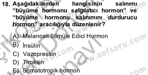 Temel Veteriner Biyokimya Dersi 2014 - 2015 Yılı (Final) Dönem Sonu Sınavı 18. Soru