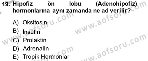 Temel Veteriner Biyokimya Dersi 2014 - 2015 Yılı (Final) Dönem Sonu Sınavı 19. Soru