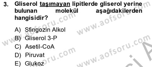 Temel Veteriner Biyokimya Dersi 2014 - 2015 Yılı (Final) Dönem Sonu Sınavı 3. Soru