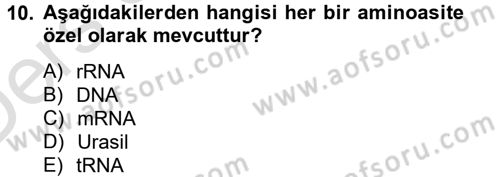 Temel Veteriner Biyokimya Dersi 2014 - 2015 Yılı Tek Ders Sınavı 10. Soru