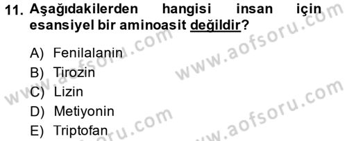 Temel Veteriner Biyokimya Dersi 2014 - 2015 Yılı Tek Ders Sınav Soruları 11. Soru