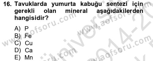 Temel Veteriner Biyokimya Dersi 2014 - 2015 Yılı Tek Ders Sınav Soruları 16. Soru