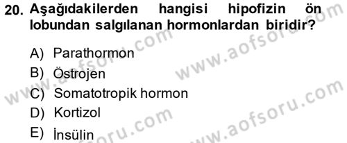 Temel Veteriner Biyokimya Dersi 2014 - 2015 Yılı Tek Ders Sınav Soruları 20. Soru