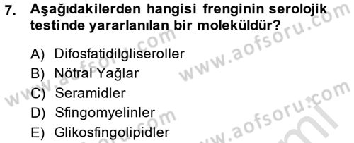 Temel Veteriner Biyokimya Dersi 2014 - 2015 Yılı Tek Ders Sınav Soruları 7. Soru