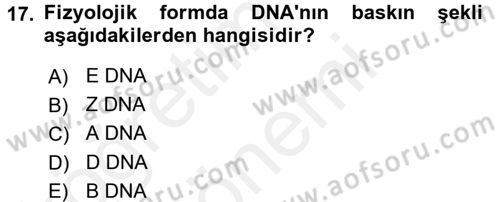 Temel Veteriner Biyokimya Dersi 2015 - 2016 Yılı (Vize) Ara Sınav Soruları 17. Soru