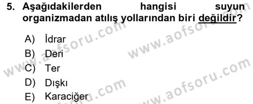 Temel Veteriner Biyokimya Dersi 2015 - 2016 Yılı (Vize) Ara Sınav Soruları 5. Soru