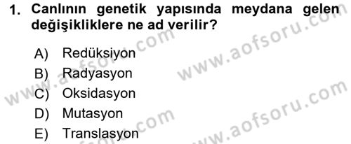 Temel Veteriner Biyokimya Dersi 2015 - 2016 Yılı (Final) Dönem Sonu Sınavı 1. Soru