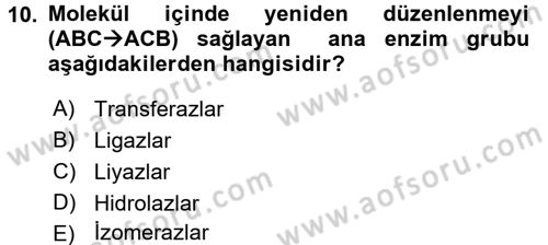 Temel Veteriner Biyokimya Dersi 2015 - 2016 Yılı (Final) Dönem Sonu Sınav Soruları 10. Soru