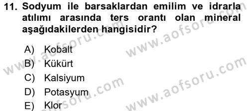 Temel Veteriner Biyokimya Dersi 2015 - 2016 Yılı (Final) Dönem Sonu Sınav Soruları 11. Soru