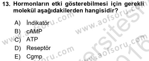Temel Veteriner Biyokimya Dersi 2015 - 2016 Yılı (Final) Dönem Sonu Sınav Soruları 13. Soru
