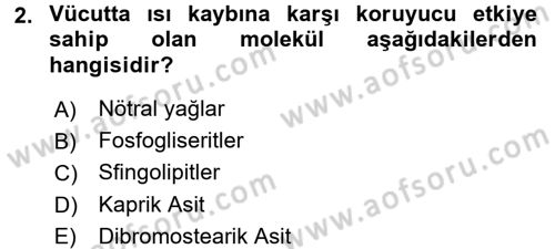 Temel Veteriner Biyokimya Dersi 2015 - 2016 Yılı (Final) Dönem Sonu Sınav Soruları 2. Soru