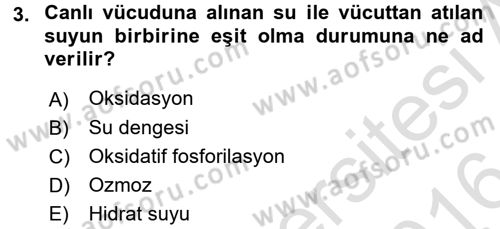 Temel Veteriner Biyokimya Dersi 2015 - 2016 Yılı (Final) Dönem Sonu Sınavı 3. Soru