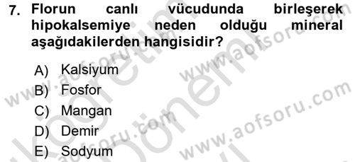 Temel Veteriner Biyokimya Dersi 2015 - 2016 Yılı (Final) Dönem Sonu Sınav Soruları 7. Soru