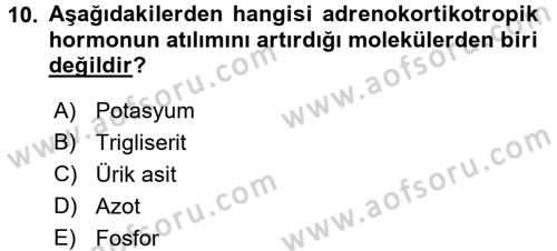 Temel Veteriner Biyokimya Dersi 2015 - 2016 Yılı Tek Ders Sınav Soruları 10. Soru