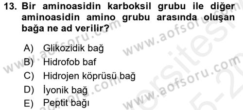 Temel Veteriner Biyokimya Dersi 2015 - 2016 Yılı Tek Ders Sınav Soruları 13. Soru