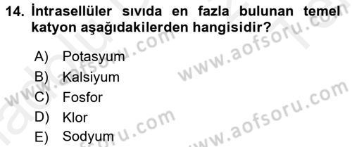 Temel Veteriner Biyokimya Dersi 2015 - 2016 Yılı Tek Ders Sınav Soruları 14. Soru
