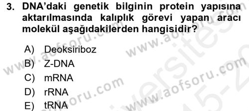 Temel Veteriner Biyokimya Dersi 2015 - 2016 Yılı Tek Ders Sınav Soruları 3. Soru