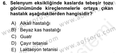 Temel Veteriner Biyokimya Dersi 2015 - 2016 Yılı Tek Ders Sınav Soruları 6. Soru