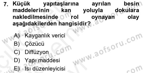 Temel Veteriner Biyokimya Dersi 2015 - 2016 Yılı Tek Ders Sınav Soruları 7. Soru