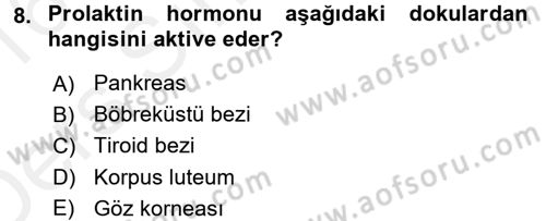 Temel Veteriner Biyokimya Dersi 2015 - 2016 Yılı Tek Ders Sınav Soruları 8. Soru