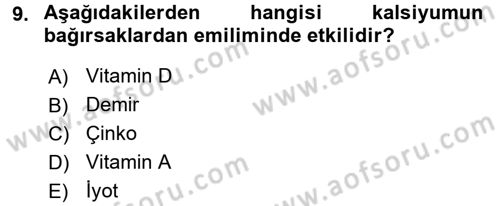 Temel Veteriner Biyokimya Dersi 2015 - 2016 Yılı Tek Ders Sınav Soruları 9. Soru