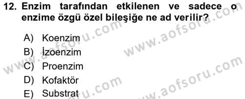 Temel Veteriner Biyokimya Dersi 2016 - 2017 Yılı 3 Ders Sınav Soruları 12. Soru