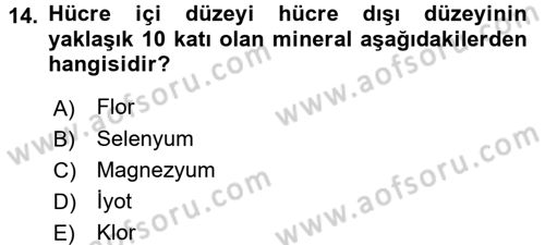 Temel Veteriner Biyokimya Dersi 2016 - 2017 Yılı 3 Ders Sınav Soruları 14. Soru
