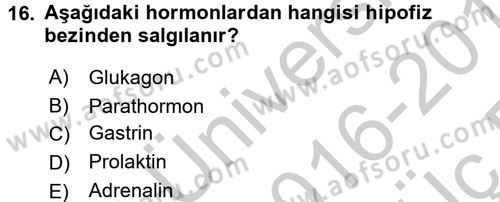 Temel Veteriner Biyokimya Dersi 2016 - 2017 Yılı 3 Ders Sınav Soruları 16. Soru
