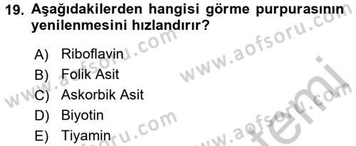 Temel Veteriner Biyokimya Dersi 2016 - 2017 Yılı 3 Ders Sınav Soruları 19. Soru