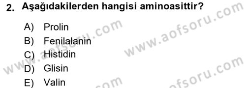 Temel Veteriner Biyokimya Dersi 2016 - 2017 Yılı 3 Ders Sınav Soruları 2. Soru
