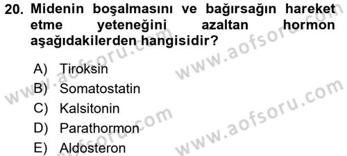 Temel Veteriner Biyokimya Dersi 2016 - 2017 Yılı 3 Ders Sınav Soruları 20. Soru