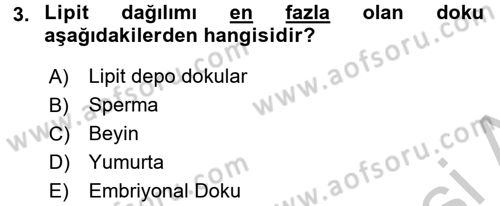 Temel Veteriner Biyokimya Dersi 2016 - 2017 Yılı 3 Ders Sınav Soruları 3. Soru