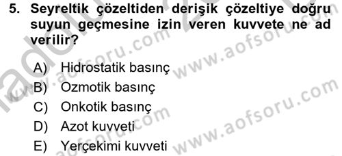 Temel Veteriner Biyokimya Dersi 2016 - 2017 Yılı 3 Ders Sınav Soruları 5. Soru