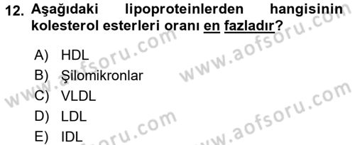 Temel Veteriner Biyokimya Dersi 2016 - 2017 Yılı (Vize) Ara Sınav Soruları 12. Soru