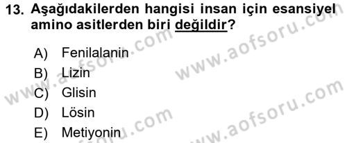Temel Veteriner Biyokimya Dersi 2016 - 2017 Yılı (Vize) Ara Sınav Soruları 13. Soru