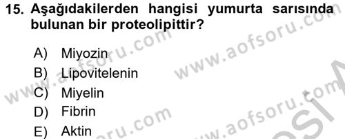 Temel Veteriner Biyokimya Dersi 2016 - 2017 Yılı (Vize) Ara Sınav Soruları 15. Soru