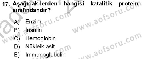 Temel Veteriner Biyokimya Dersi 2016 - 2017 Yılı (Vize) Ara Sınav Soruları 17. Soru