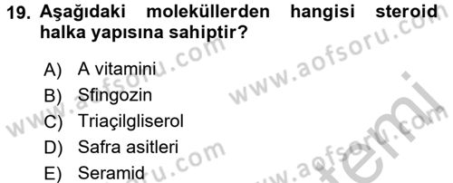 Temel Veteriner Biyokimya Dersi 2016 - 2017 Yılı (Vize) Ara Sınav Soruları 19. Soru