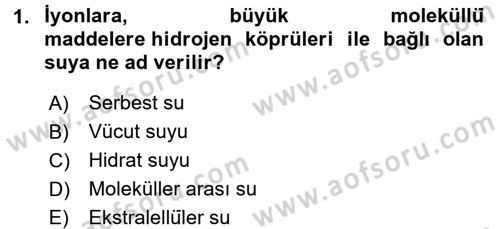 Temel Veteriner Biyokimya Dersi 2016 - 2017 Yılı (Final) Dönem Sonu Sınav Soruları 1. Soru