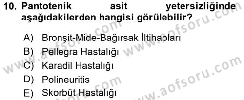 Temel Veteriner Biyokimya Dersi 2016 - 2017 Yılı (Final) Dönem Sonu Sınav Soruları 10. Soru