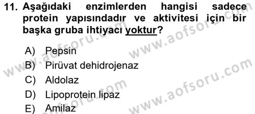 Temel Veteriner Biyokimya Dersi 2016 - 2017 Yılı (Final) Dönem Sonu Sınav Soruları 11. Soru