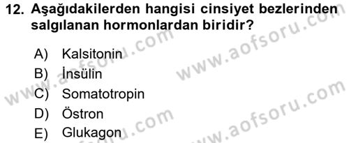 Temel Veteriner Biyokimya Dersi 2016 - 2017 Yılı (Final) Dönem Sonu Sınav Soruları 12. Soru