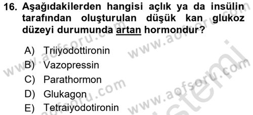 Temel Veteriner Biyokimya Dersi 2016 - 2017 Yılı (Final) Dönem Sonu Sınav Soruları 16. Soru
