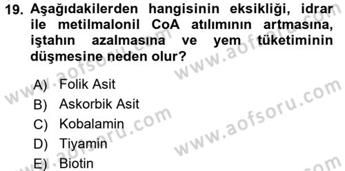 Temel Veteriner Biyokimya Dersi 2016 - 2017 Yılı (Final) Dönem Sonu Sınav Soruları 19. Soru