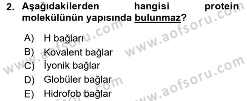 Temel Veteriner Biyokimya Dersi 2016 - 2017 Yılı (Final) Dönem Sonu Sınav Soruları 2. Soru