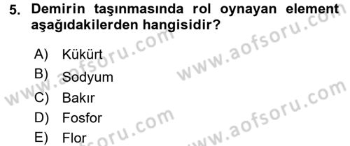 Temel Veteriner Biyokimya Dersi 2016 - 2017 Yılı (Final) Dönem Sonu Sınav Soruları 5. Soru