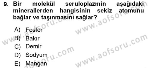 Temel Veteriner Biyokimya Dersi 2016 - 2017 Yılı (Final) Dönem Sonu Sınav Soruları 9. Soru