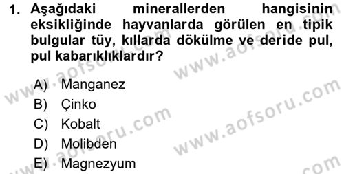 Temel Veteriner Biyokimya Dersi 2017 - 2018 Yılı 3 Ders Sınav Soruları 1. Soru